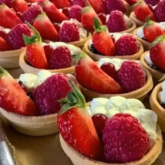 Edinburgh Zoo, Edinburgh wedding venues, wedding venues Edinburgh, wedding venue Edinburgh, wedding venues in Edinburgh, Edinburgh wedding venue, weddings Edinburgh, Edinburgh wedding, Wedding venues near Edinburgh, unusual wedding venues Edinburgh